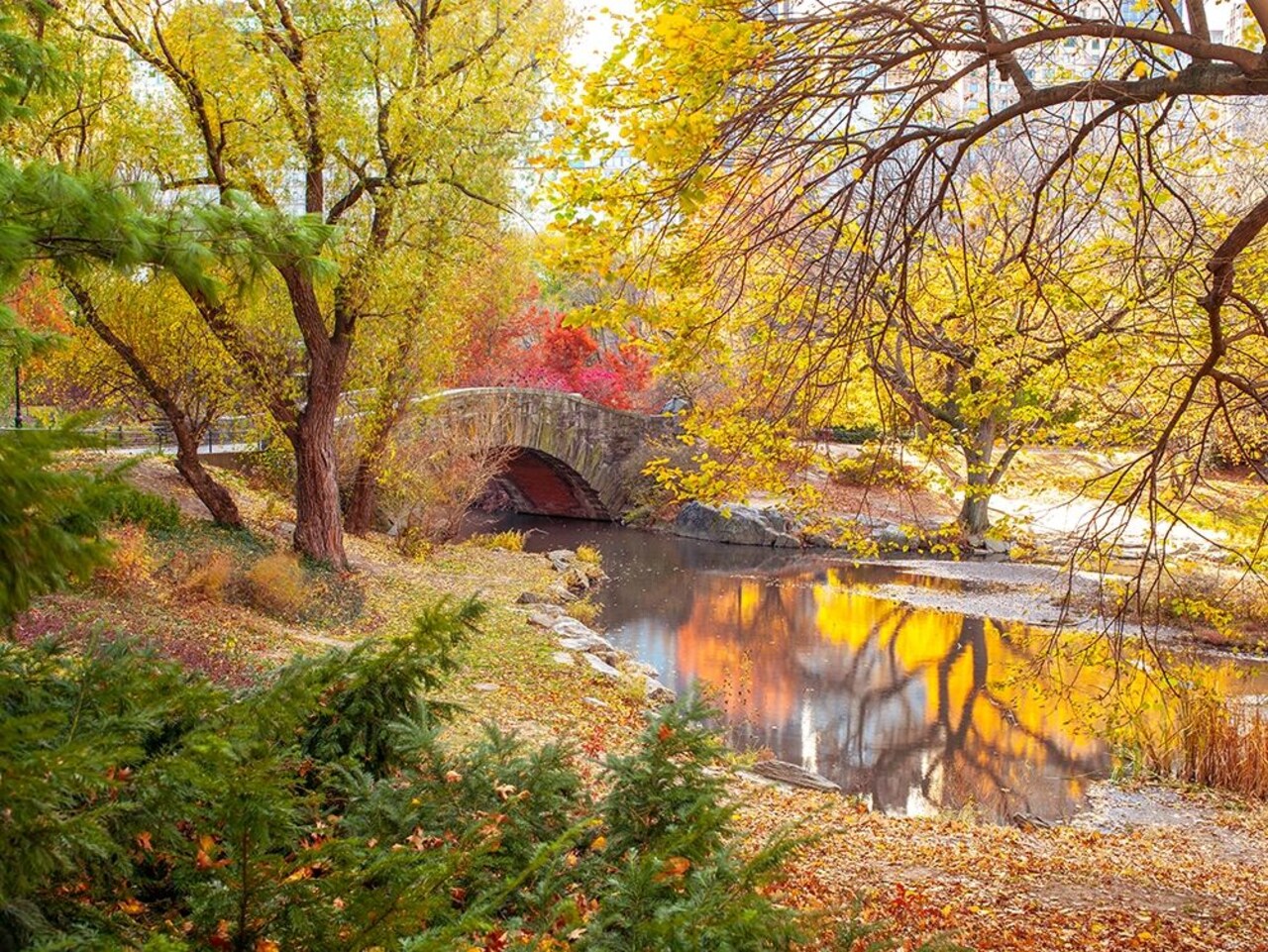 Gapstow bridge in autumn-Central Park-New York city Poster Print by Assaf Frank # AF201311191502